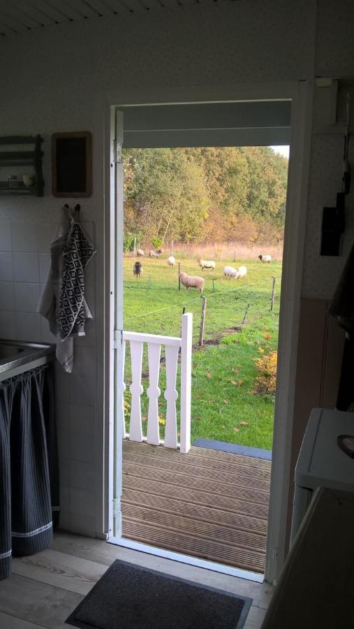 Onstwedde Pipowagen Elsebein Groningen Westerwolde Unieke Ligging Met Eigen Tuin En Vrij Uitzicht Over Veld Naar Natuurgebied מראה חיצוני תמונה