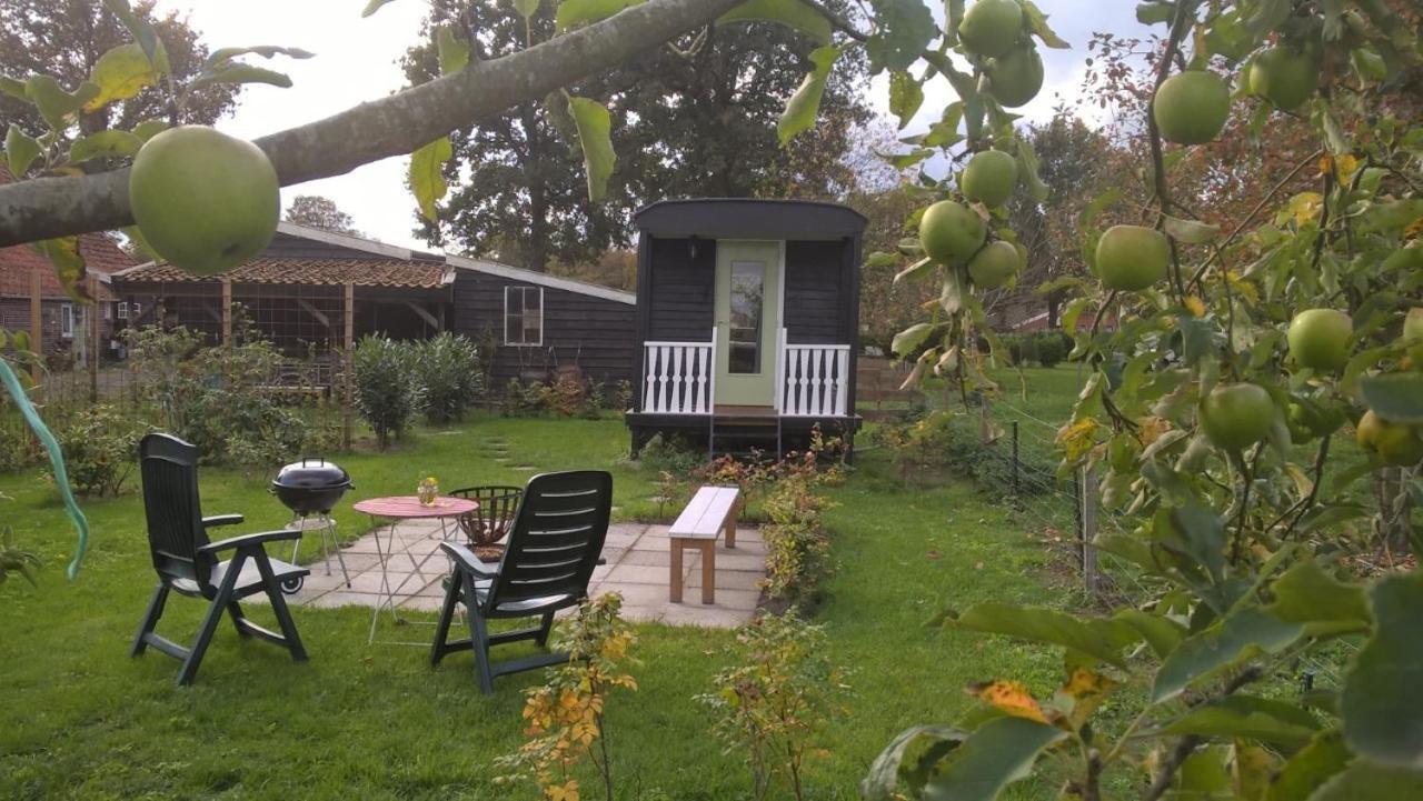 Onstwedde Pipowagen Elsebein Groningen Westerwolde Unieke Ligging Met Eigen Tuin En Vrij Uitzicht Over Veld Naar Natuurgebied מראה חיצוני תמונה