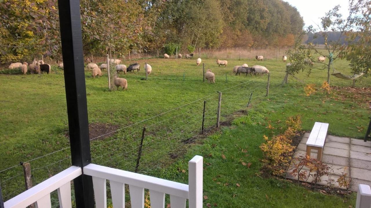 Onstwedde Pipowagen Elsebein Groningen Westerwolde Unieke Ligging Met Eigen Tuin En Vrij Uitzicht Over Veld Naar Natuurgebied מראה חיצוני תמונה