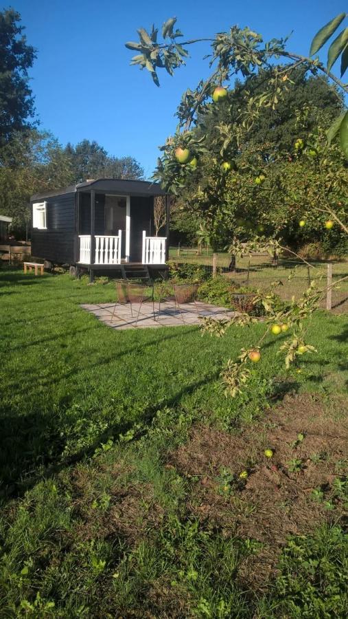 Onstwedde Pipowagen Elsebein Groningen Westerwolde Unieke Ligging Met Eigen Tuin En Vrij Uitzicht Over Veld Naar Natuurgebied מראה חיצוני תמונה