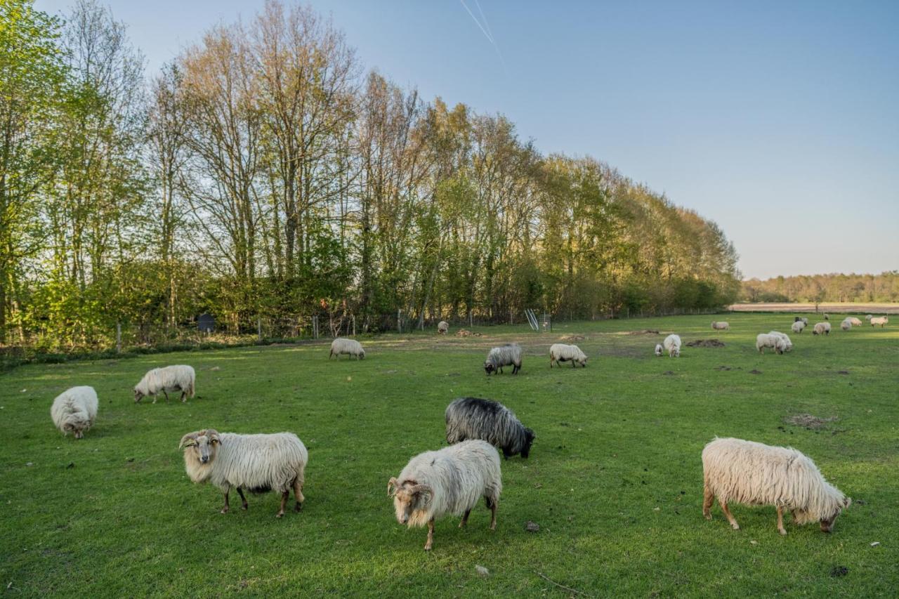 Onstwedde Pipowagen Elsebein Groningen Westerwolde Unieke Ligging Met Eigen Tuin En Vrij Uitzicht Over Veld Naar Natuurgebied מראה חיצוני תמונה